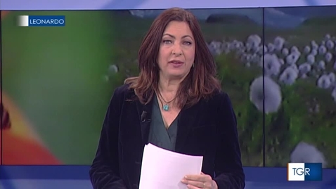 Miniatura per la voce TGR Leonardo