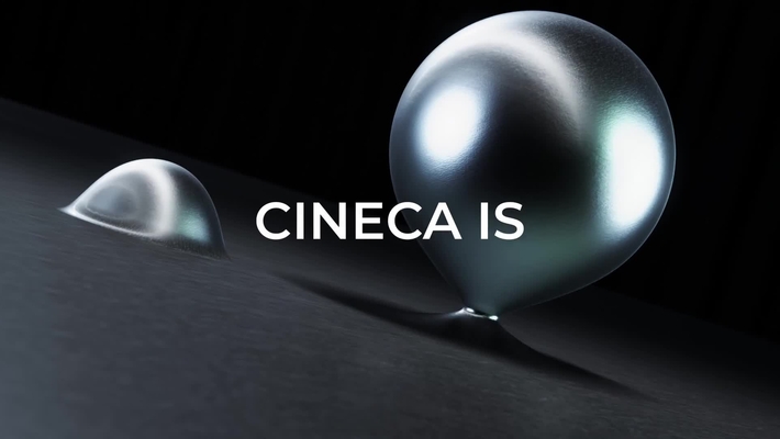 CINECA IS